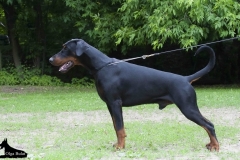 Barbados vom Westwall