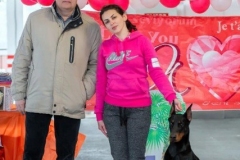 Bombastichansa Allora Arrow