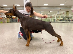 img_20220227_232510_576