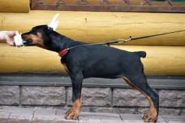 received_401330324536875