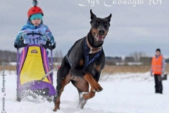 Bombastichansa Morne Menel 