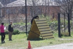 Bombastichansa Usher Uilsher