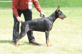 zeazabava