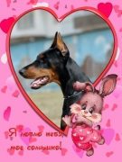 62c3003d-55b1-4179-93de-51cba12d3f1f