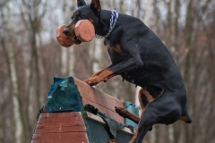 Magic Luck Dangerous Beauty