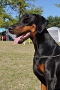 fb_img_1580060647718