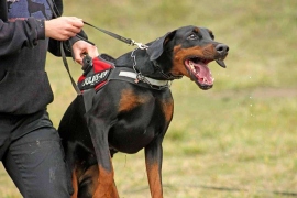 received_2399769600238133