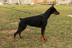 Sladislava iz Galakuna