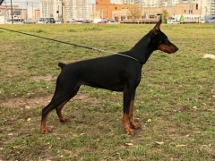img-20191011-wa0001