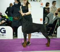 158049271_3751077818262628_5916016692015381934_o