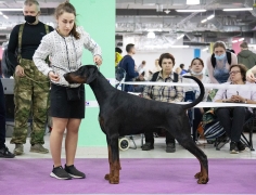 169106365_3834179493285793_2638610999676944684_n