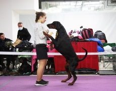 169130820_3834180029952406_4677056116405120890_n