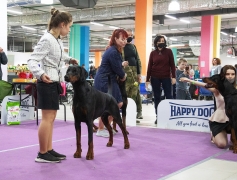 169242462_3834179889952420_5225852060657754134_n